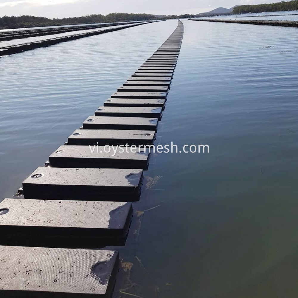 Lật giỏ hàu trang trại Flip Farm Oyster Basket